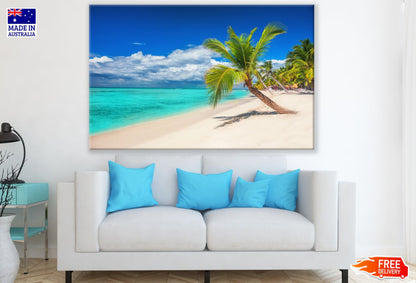 Palm Tree Near Sea Photograph Print 100% Australian Made