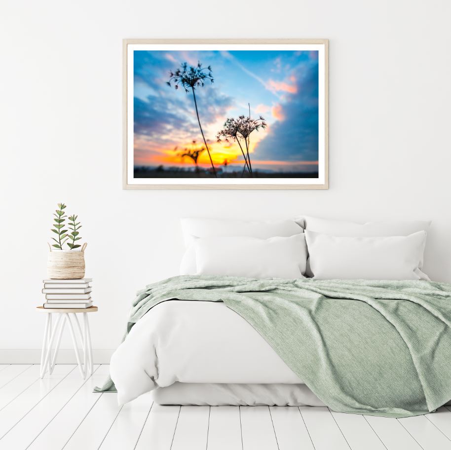 Dandelion Flowers Closeup View Home Decor Premium Quality Poster Print Choose Your Sizes