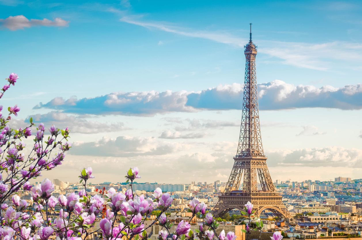 Eiffel Tower Scenery Photograph Print 100% Australian Made