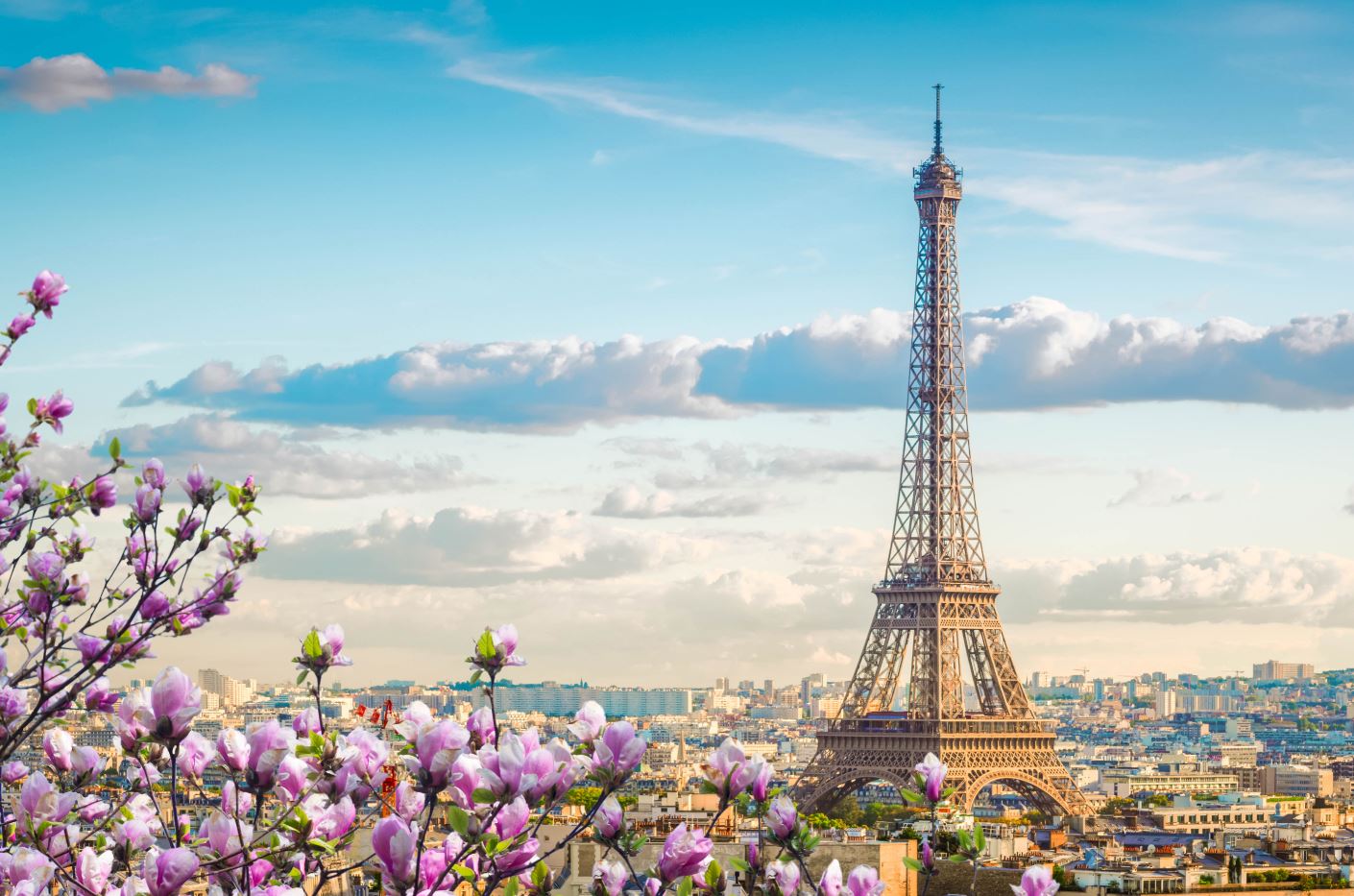Eiffel Tower Scenery Photograph Home Decor Premium Quality Poster Print Choose Your Sizes