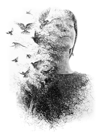 Face & Bird B&W Painting Home Decor Premium Quality Poster Print Choose Your Sizes