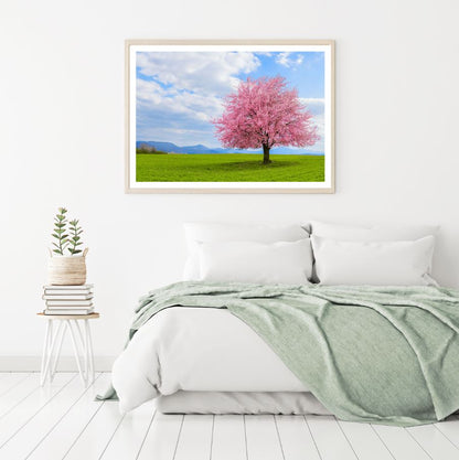 Blossom Tree in Meadow Photograph Home Decor Premium Quality Poster Print Choose Your Sizes