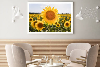 Sunflower Closeup Photograph Home Decor Premium Quality Poster Print Choose Your Sizes