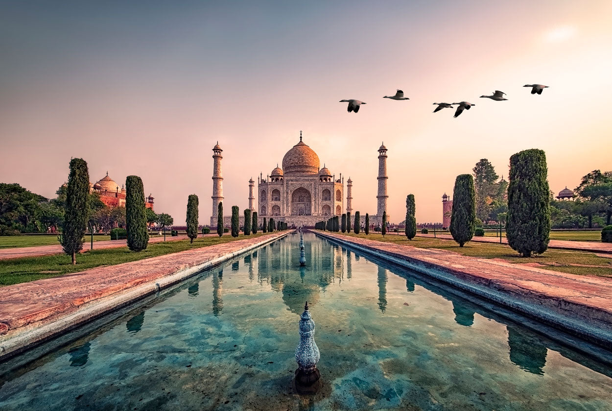 Taj Mahal Scenery Photograph Home Decor Premium Quality Poster Print Choose Your Sizes