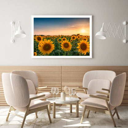 Sunflower Field Sunset Photograph Home Decor Premium Quality Poster Print Choose Your Sizes
