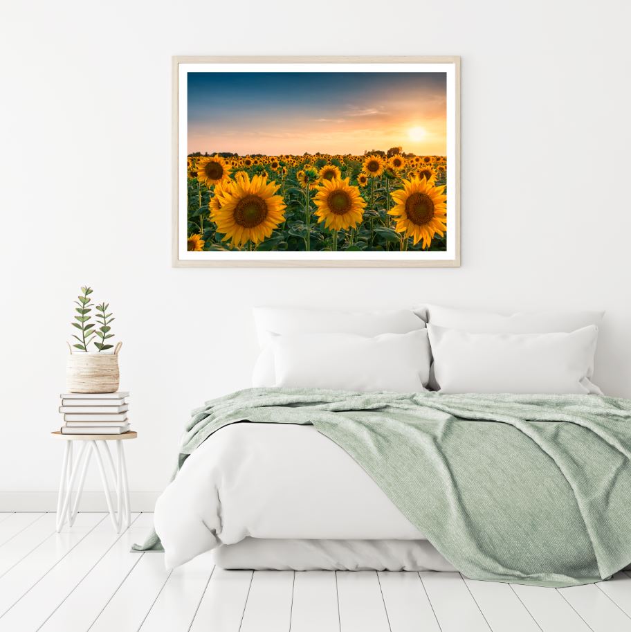 Sunflower Field Sunset Scenery Home Decor Premium Quality Poster Print Choose Your Sizes