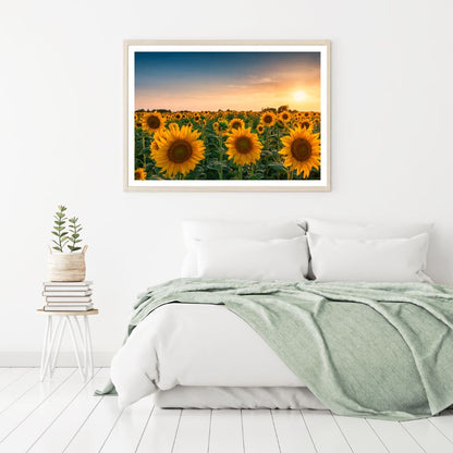 Sunflower Field Sunset Scenery Home Decor Premium Quality Poster Print Choose Your Sizes