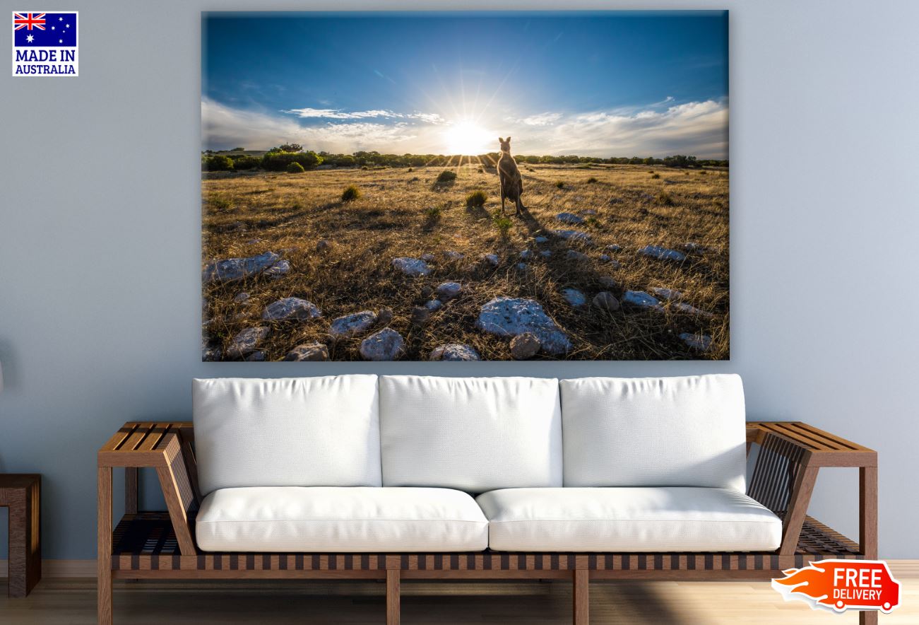 Kangaroo in Field Photograph Print 100% Australian Made