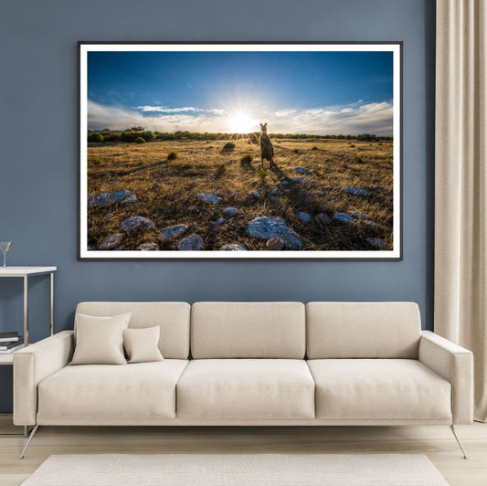 Kangaroo in Field Photograph Home Decor Premium Quality Poster Print Choose Your Sizes