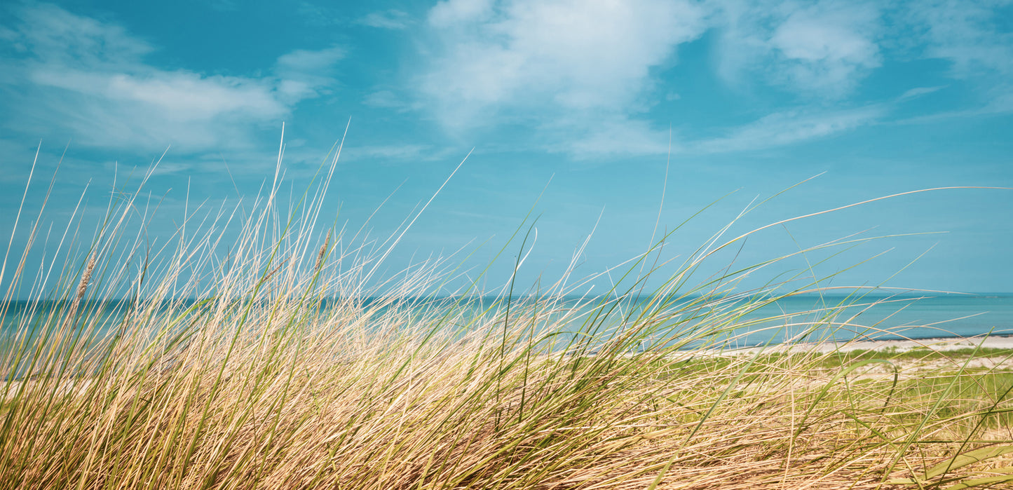 Grass near Sea Scenery Photograph Print 100% Australian Made