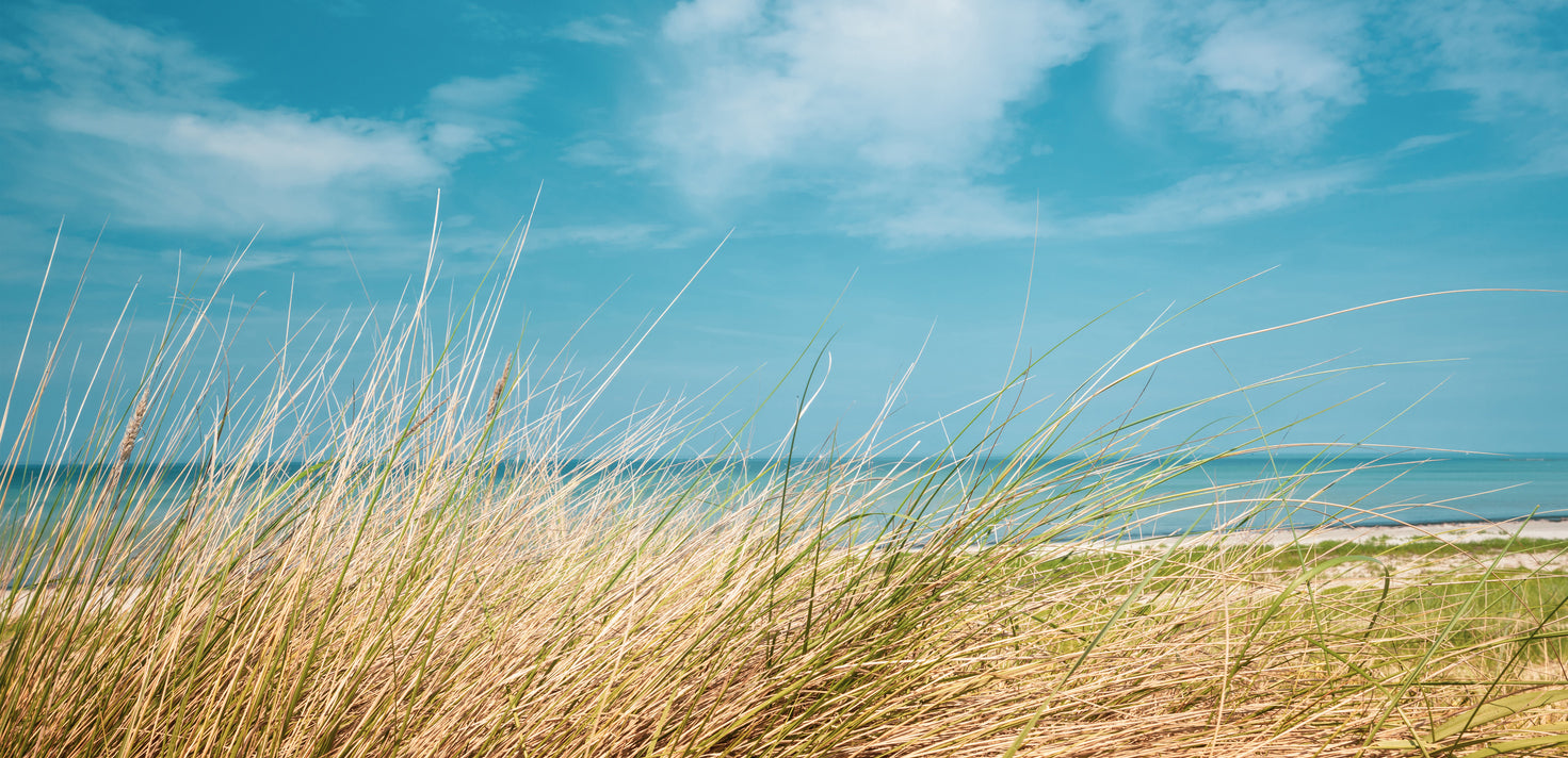 Grass near Sea Scenery Photograph Print 100% Australian Made