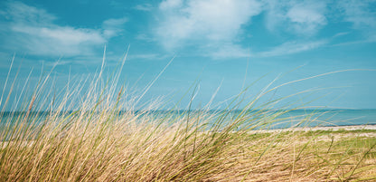 Grass near Sea Scenery Photograph Home Decor Premium Quality Poster Print Choose Your Sizes