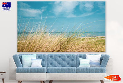 Grass near Sea Scenery Photograph Print 100% Australian Made