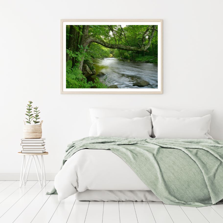 River in Forest Scenic Photograph Home Decor Premium Quality Poster Print Choose Your Sizes