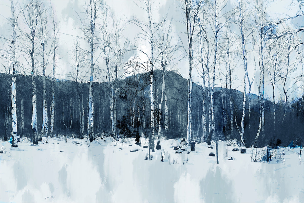 Snow Covered Forest Photograph Print 100% Australian Made