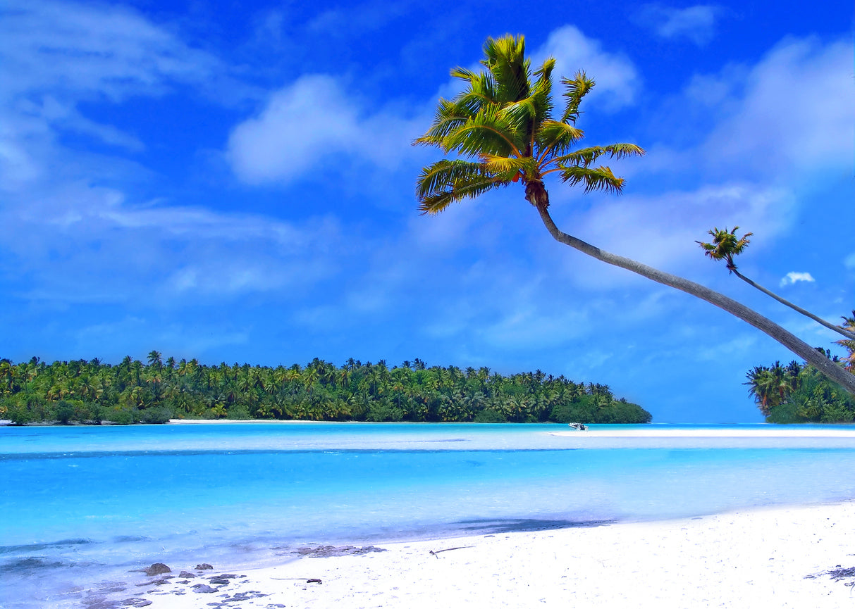 Palm Trees & Sea Scenery View Print 100% Australian Made