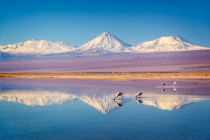 Lake & Snow Capped Mountain View Print 100% Australian Made