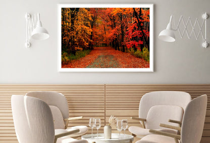 Autumn Tree Forest Road Scenery Home Decor Premium Quality Poster Print Choose Your Sizes