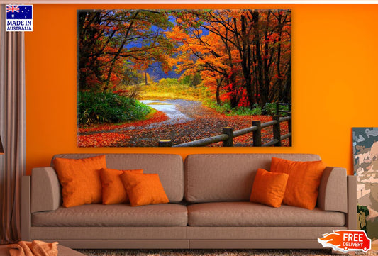 Road in Autumn Forest Photograph Print 100% Australian Made
