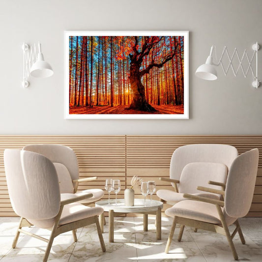 Sunset View through Trees Home Decor Premium Quality Poster Print Choose Your Sizes