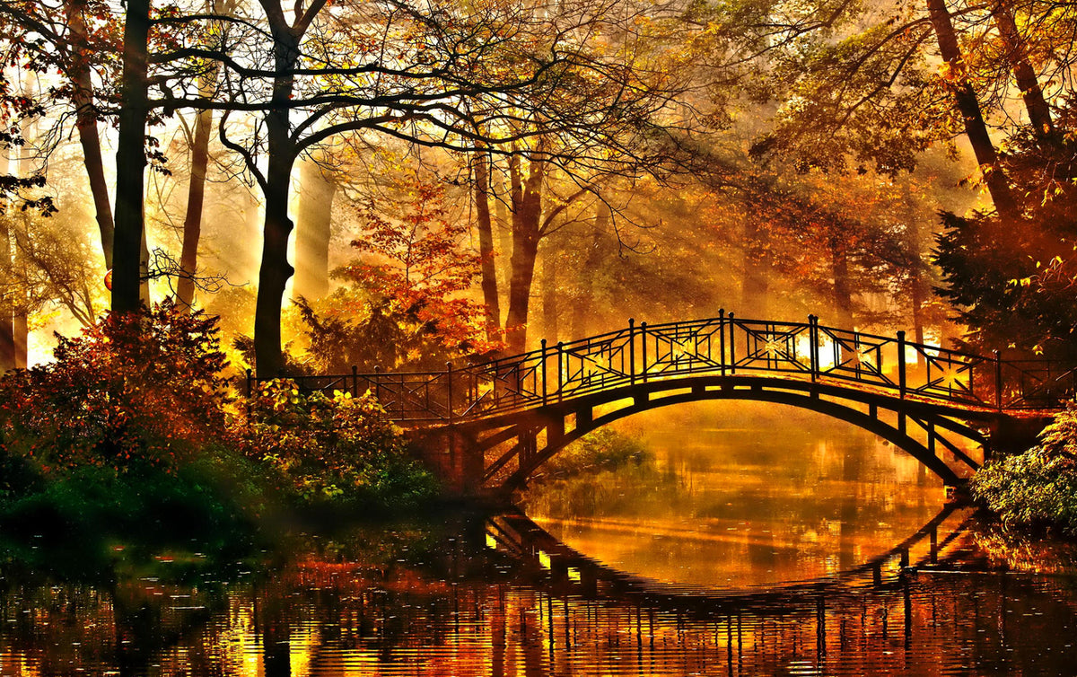 Bridge Over Pond in Forest View Home Decor Premium Quality Poster Print Choose Your Sizes