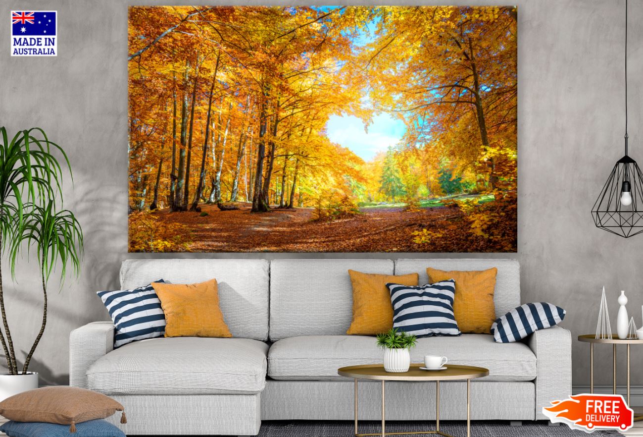 Autumn Trees Forest Photograph Print 100% Australian Made