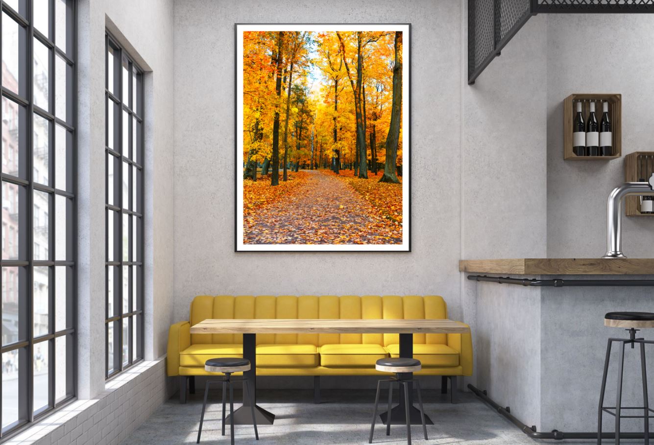 Autumn Forest Road Photograph Home Decor Premium Quality Poster Print Choose Your Sizes