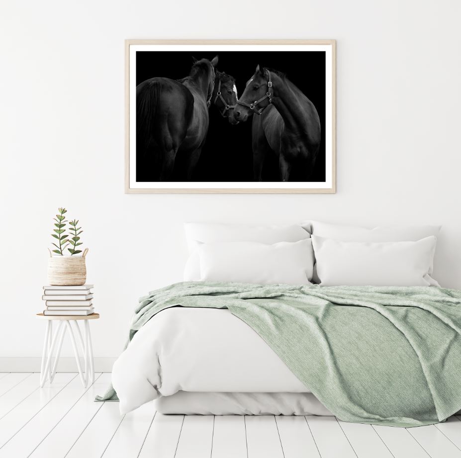 Black Horses Portrait Photograph Home Decor Premium Quality Poster Print Choose Your Sizes