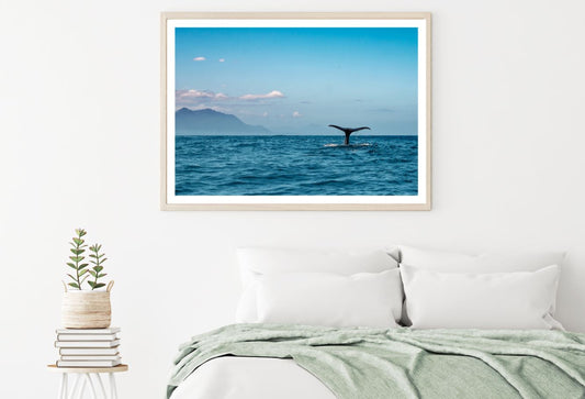 Whale in Sea Photograph Home Decor Premium Quality Poster Print Choose Your Sizes