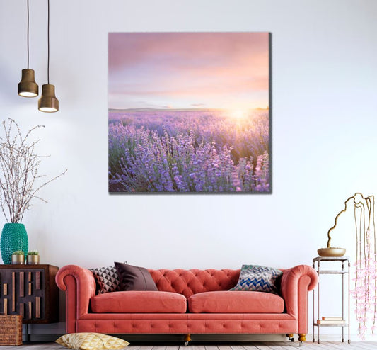 Square Canvas Purple Flower Field Scenery High Quality Print 100% Australian Made