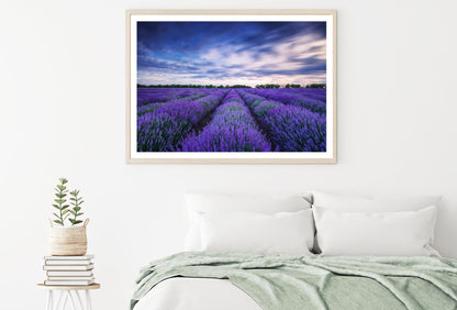 Lavender Field Scenery Photograph Home Decor Premium Quality Poster Print Choose Your Sizes