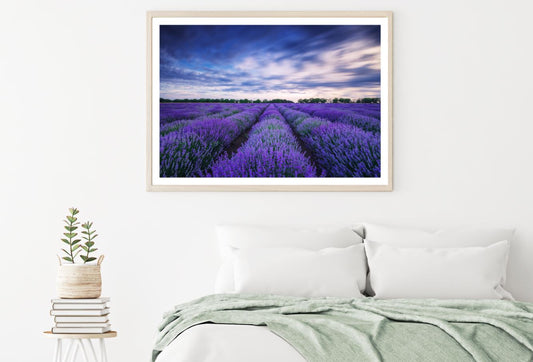 Lavender Field Scenery Photograph Home Decor Premium Quality Poster Print Choose Your Sizes