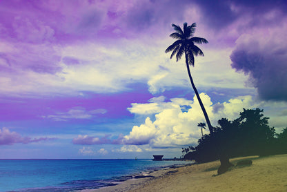Palm Tree Near Sea Sunset Scenery Print 100% Australian Made