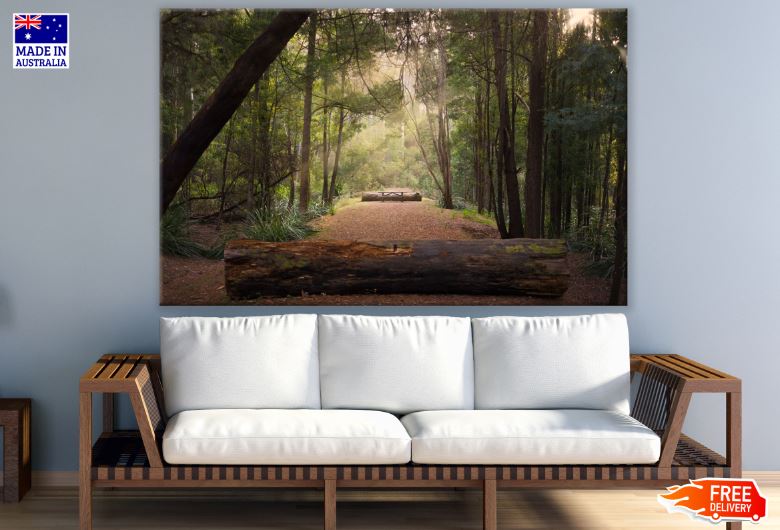 Dark Forest Road Photograph Print 100% Australian Made