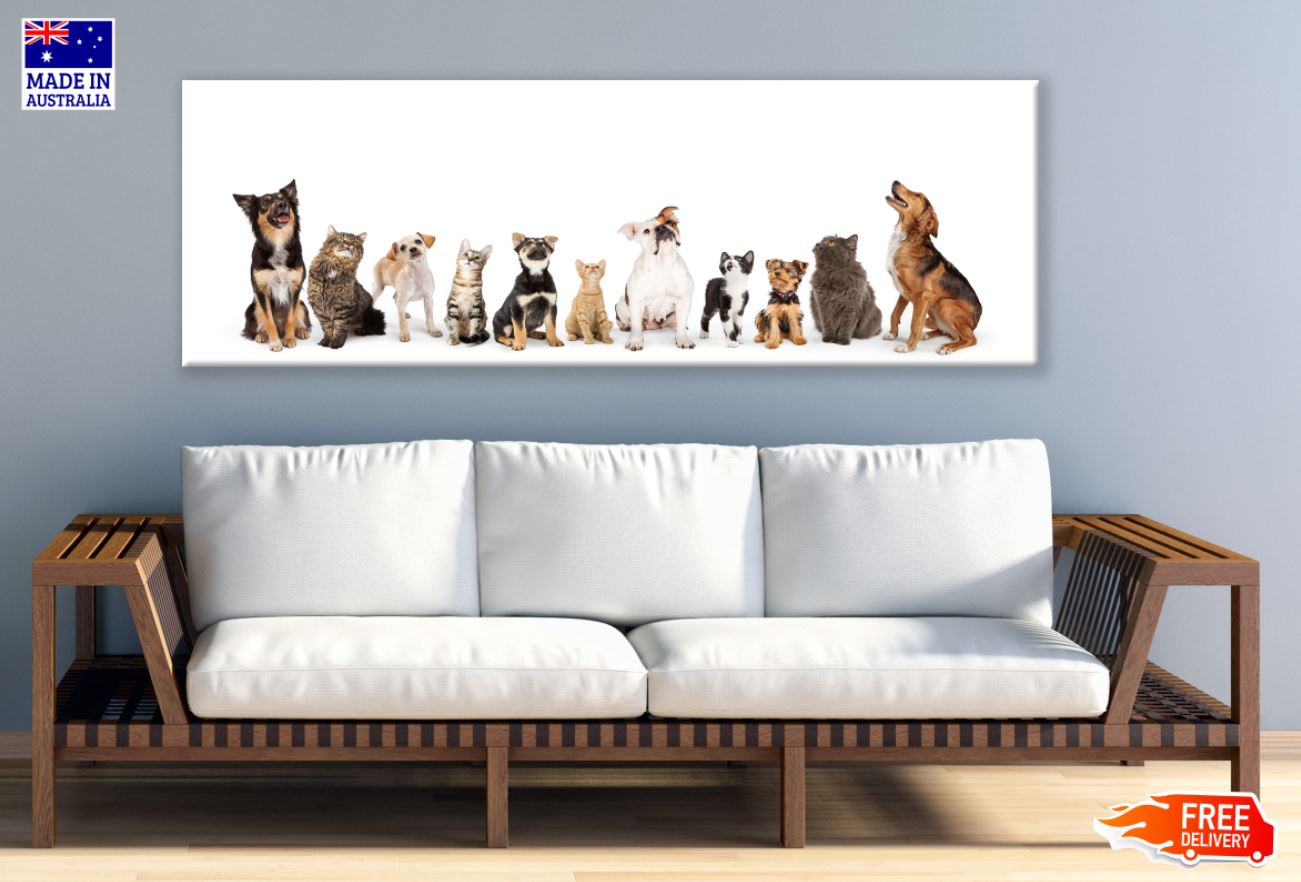 Panoramic Canvas Dogs Closeup View High Quality 100% Australian Made Wall Canvas Print Ready to Hang