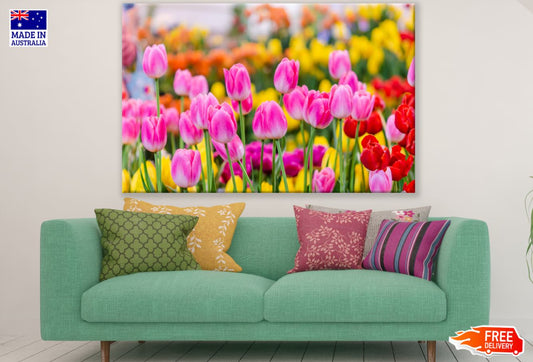 Colorful Tulip Flowers Photograph Print 100% Australian Made