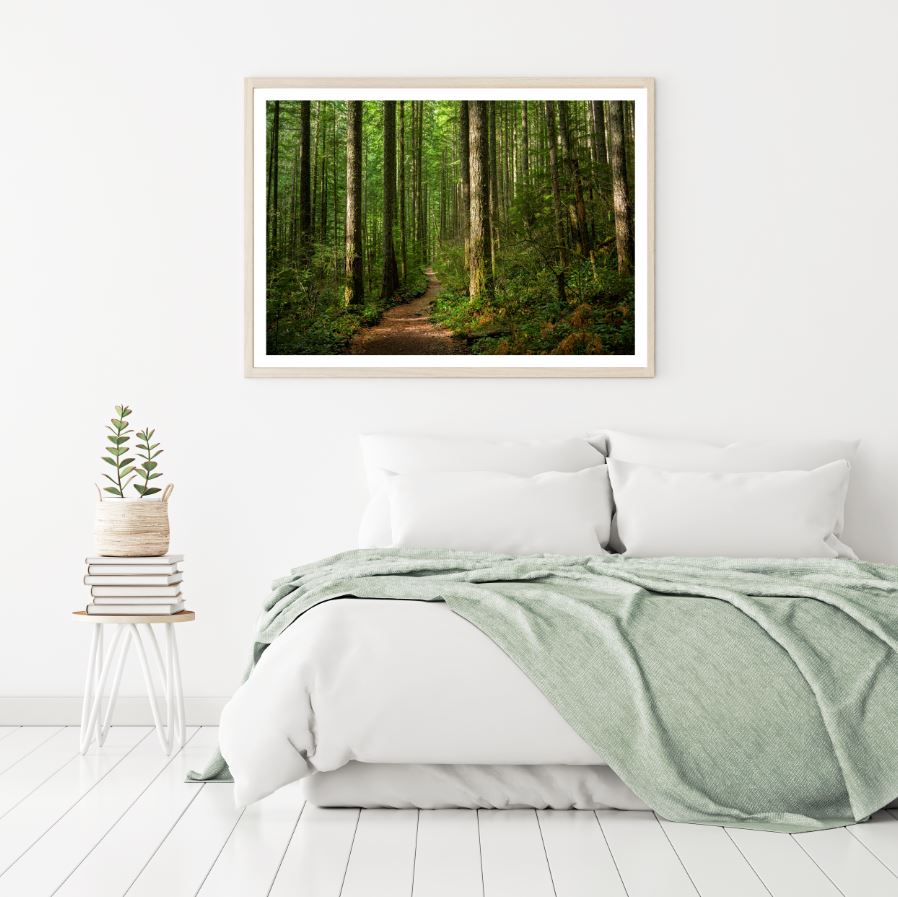 Forest Scenery Photograph Home Decor Premium Quality Poster Print Choose Your Sizes