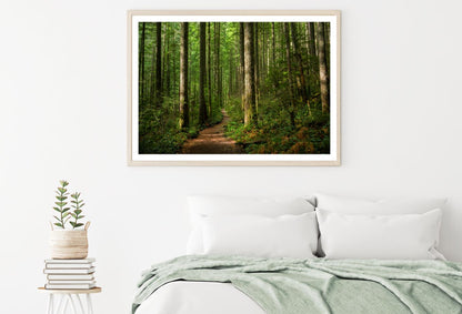 Deep Forest Photograph Home Decor Premium Quality Poster Print Choose Your Sizes