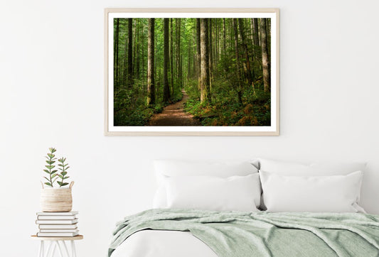 Deep Forest Photograph Home Decor Premium Quality Poster Print Choose Your Sizes