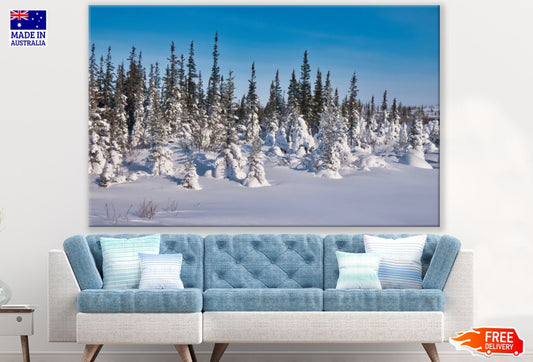 Snow Covered Forest Photograph Print 100% Australian Made