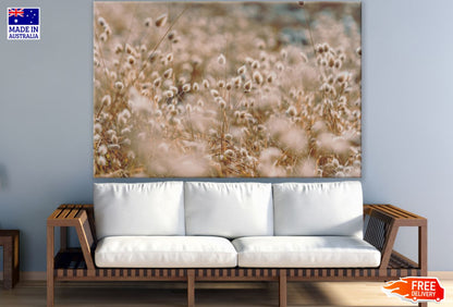 Dry Grass Closeup Photograph Print 100% Australian Made