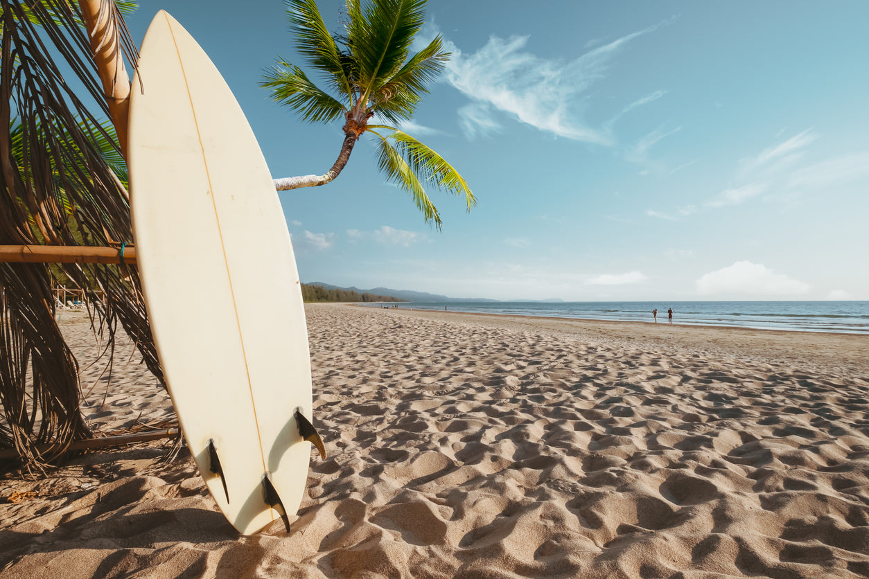 Surf Board on Sea Shore Scenery Print 100% Australian Made