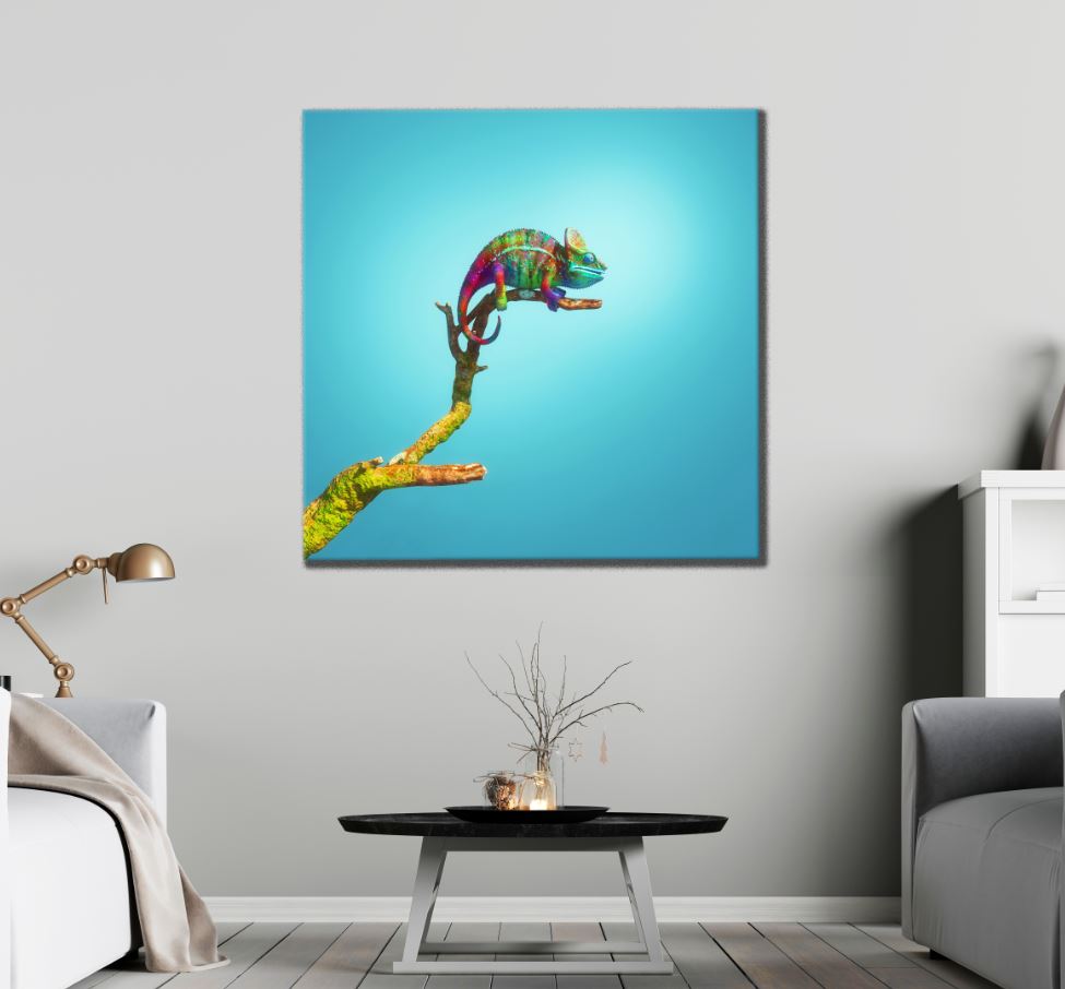 Square Canvas Colorful Chameleon on a Tree High Quality Print 100% Australian Made