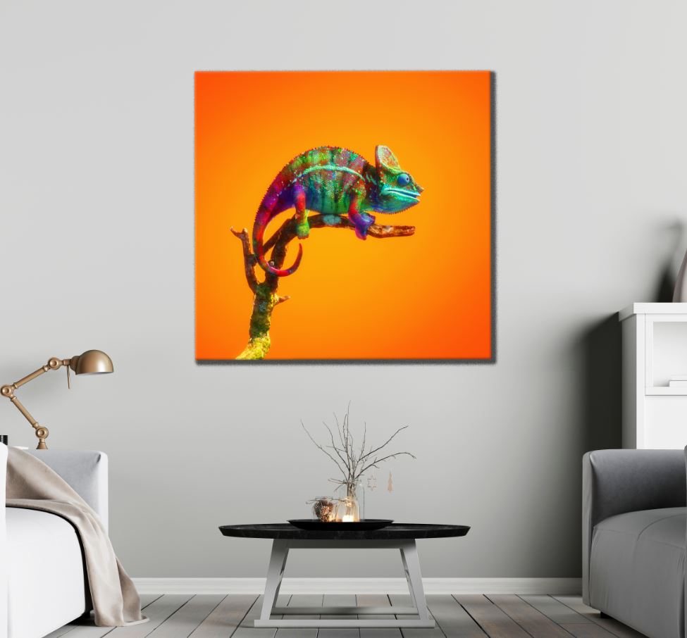 Square Canvas Colorful Chameleon on a Tree High Quality Print 100% Australian Made