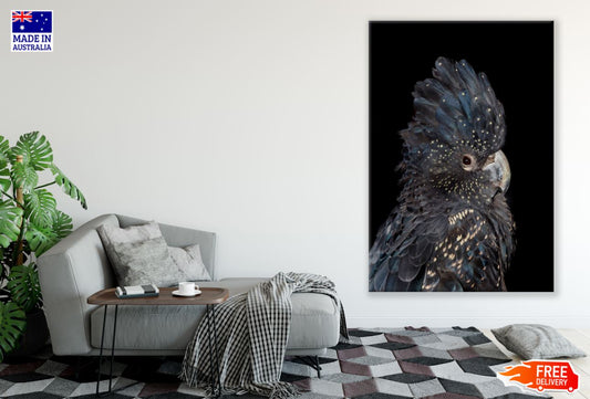 Black & Gold Parrot Portrait View Print 100% Australian Made