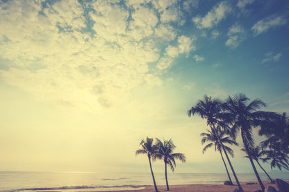 Palm Trees & Sea Photograph Home Decor Premium Quality Poster Print Choose Your Sizes