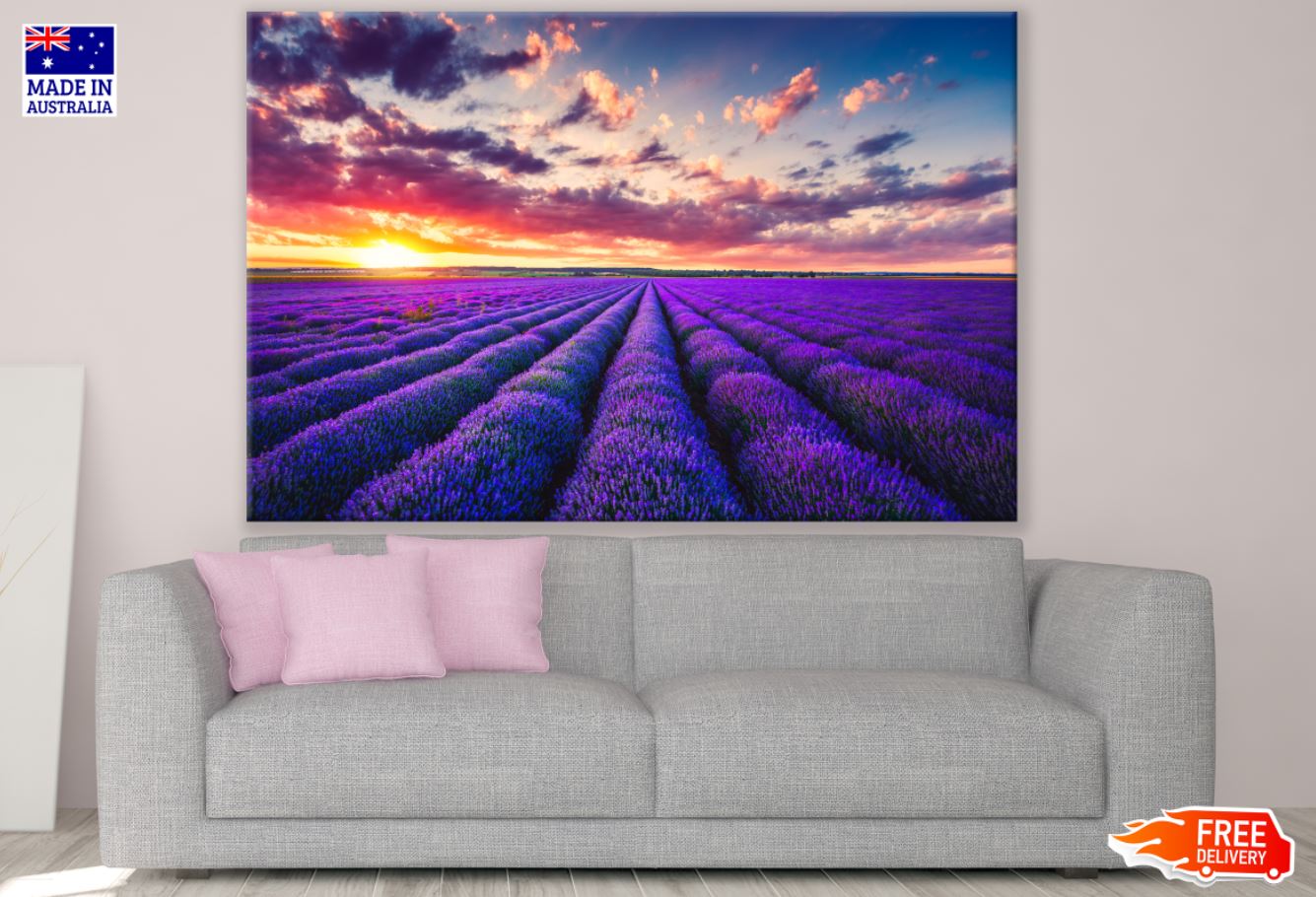 Lavender Field Scenery Photograph Print 100% Australian Made