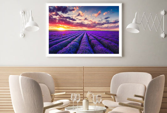 Lavender Field Scenery Photograph Home Decor Premium Quality Poster Print Choose Your Sizes