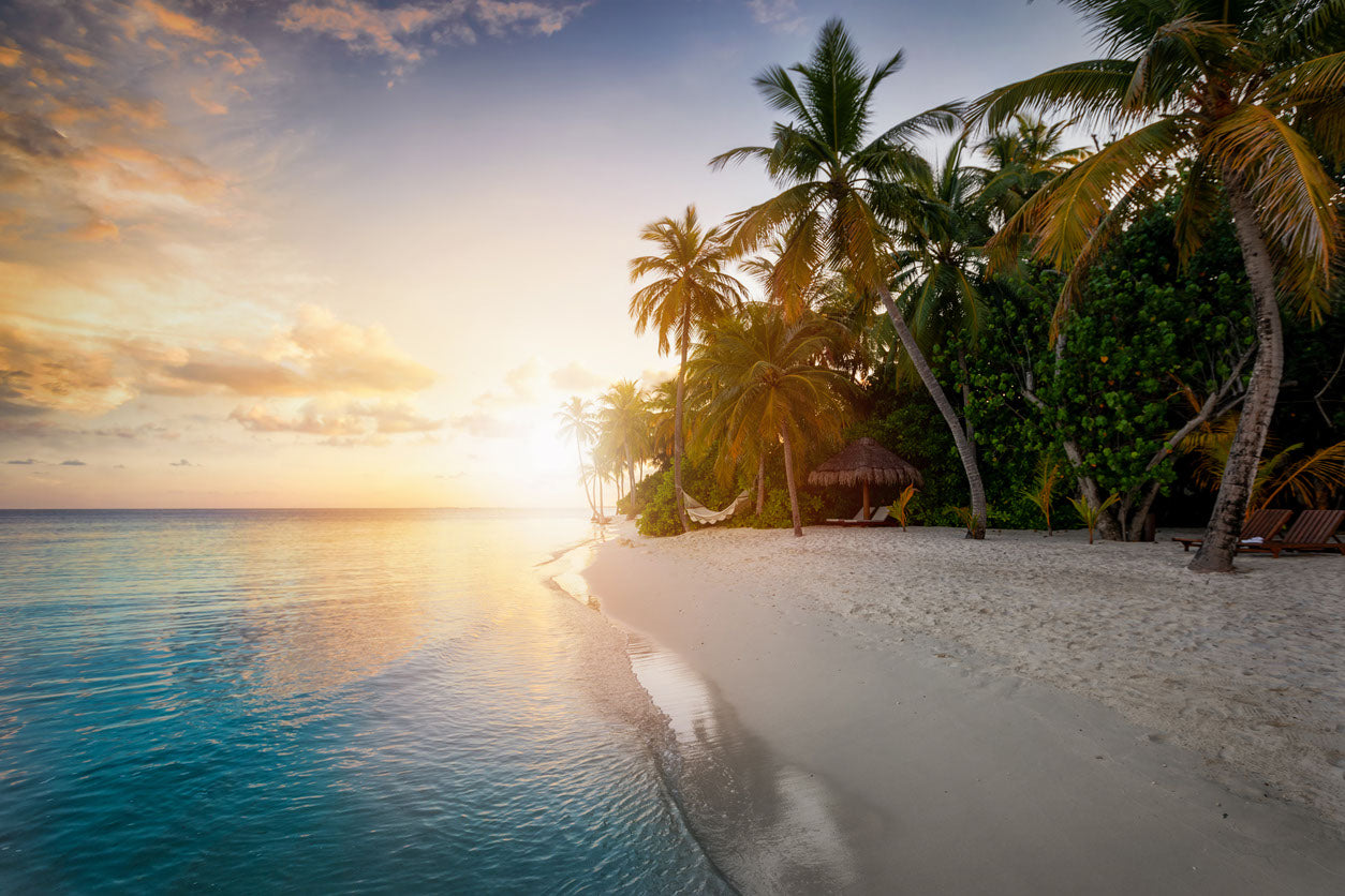 Palm Trees & Sea Scenery View Print 100% Australian Made