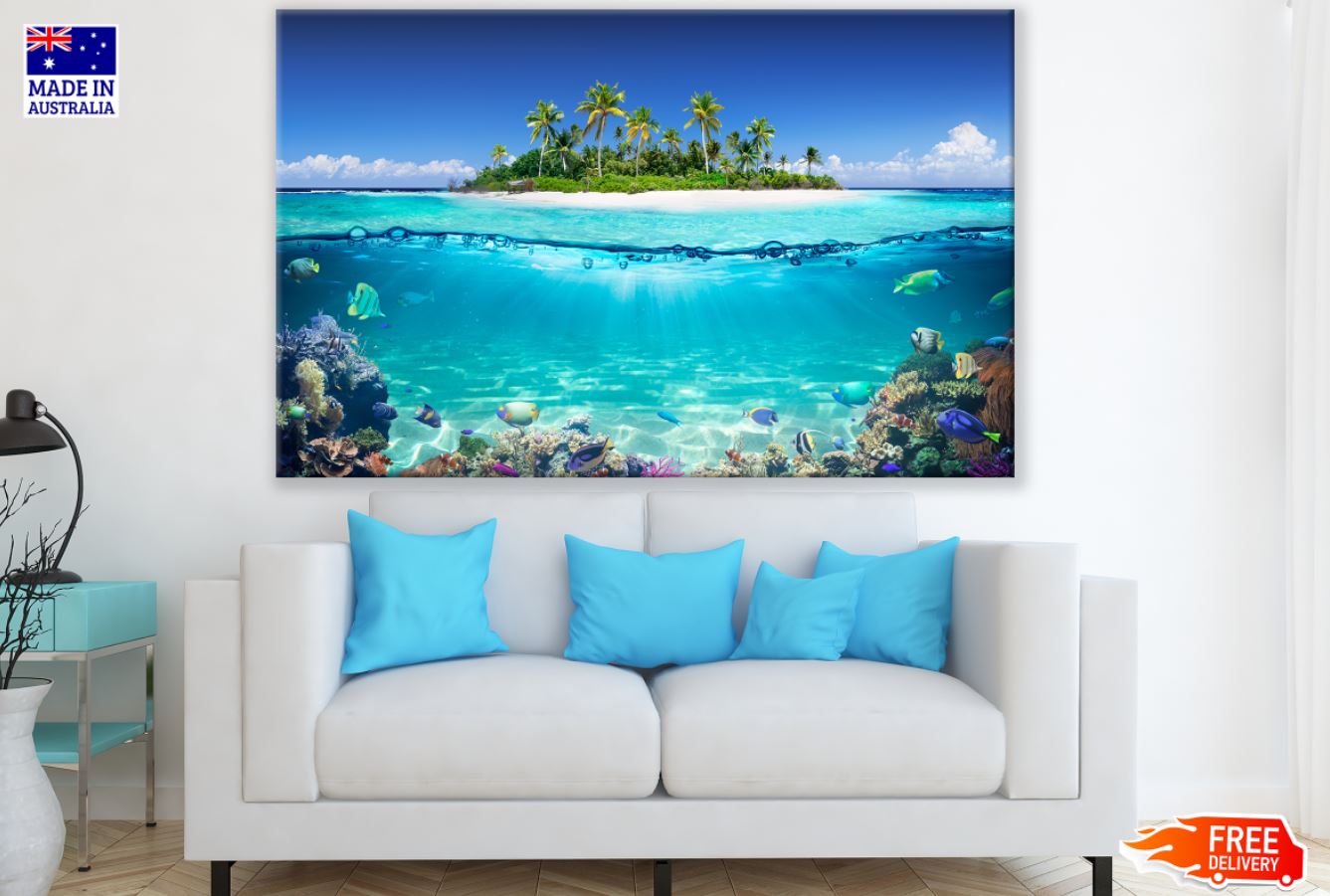 Underwater Fish Life Photograph Print 100% Australian Made